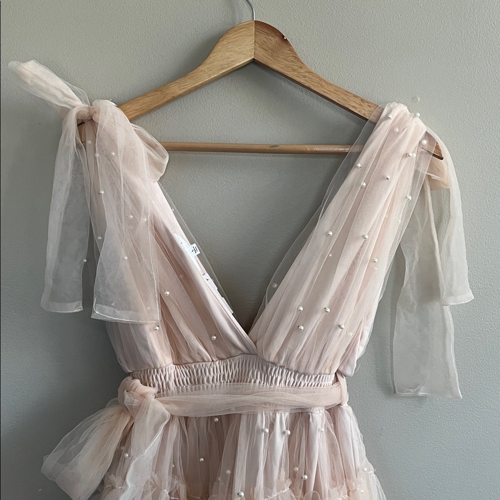 Mable Pearl Stud Swiss Dot Tulle Mini Dress in blush pink size large - Picture 11 of 16